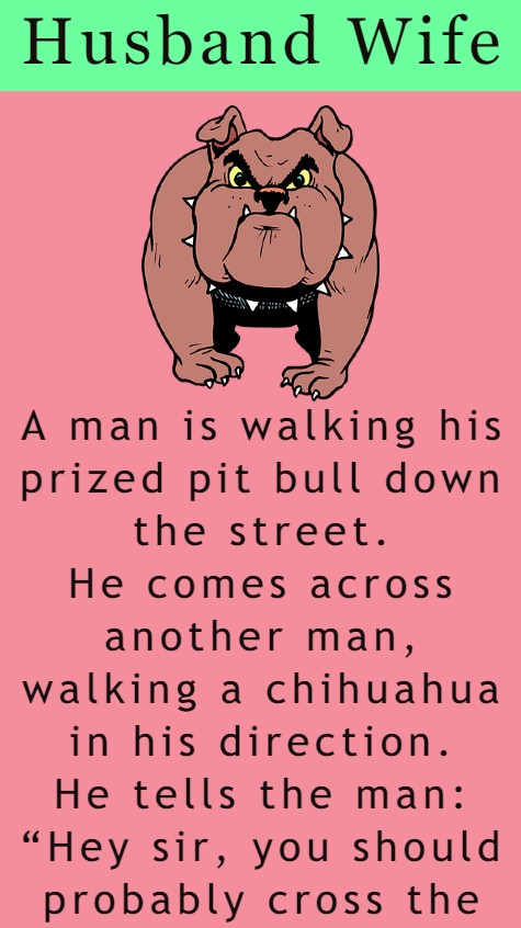 A Man Is Walking His Prized Pit Bull