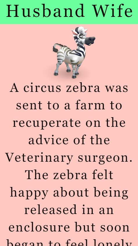 A Zebra Was Sent To A Farm