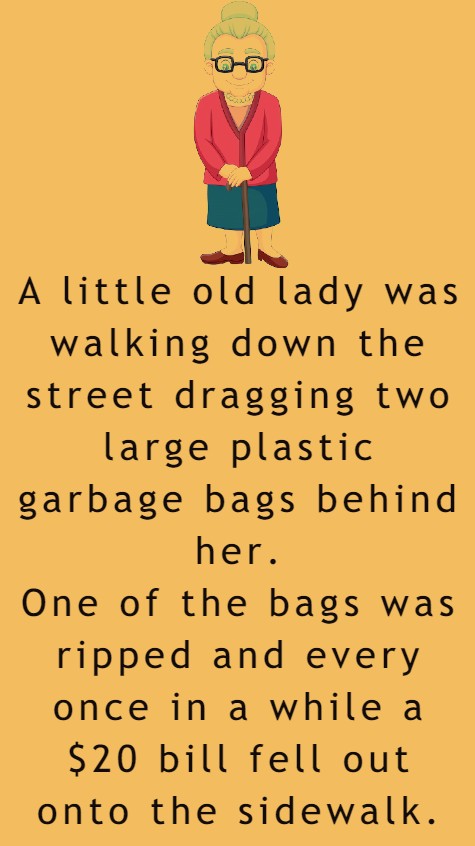 An Old Lady Was Walking Down The Street