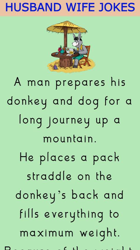 Donkey and dog for a long journey