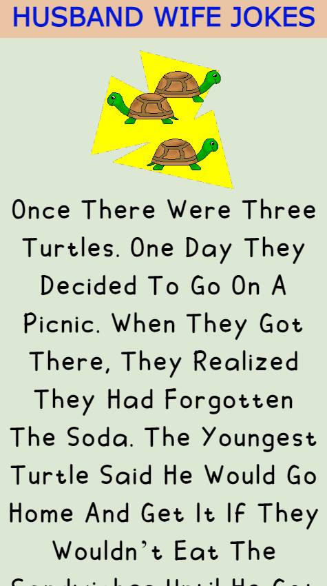 Once There Were Three Turtles.