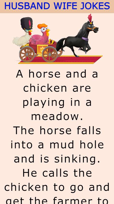 A horse and a chicken are playing in a meadow