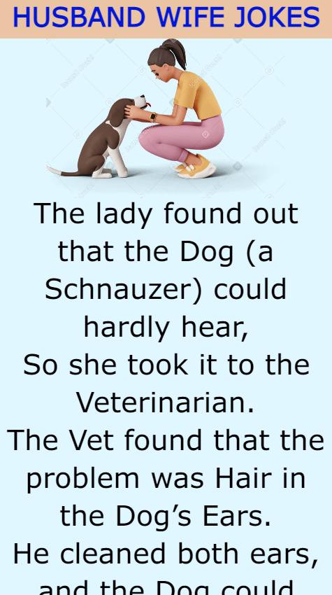 The Vet found that the problem