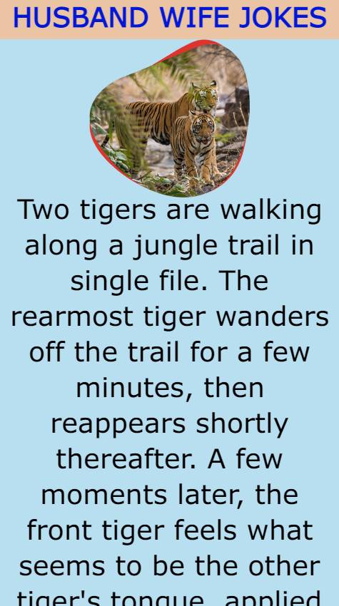 Two tigers are walking along a jungle