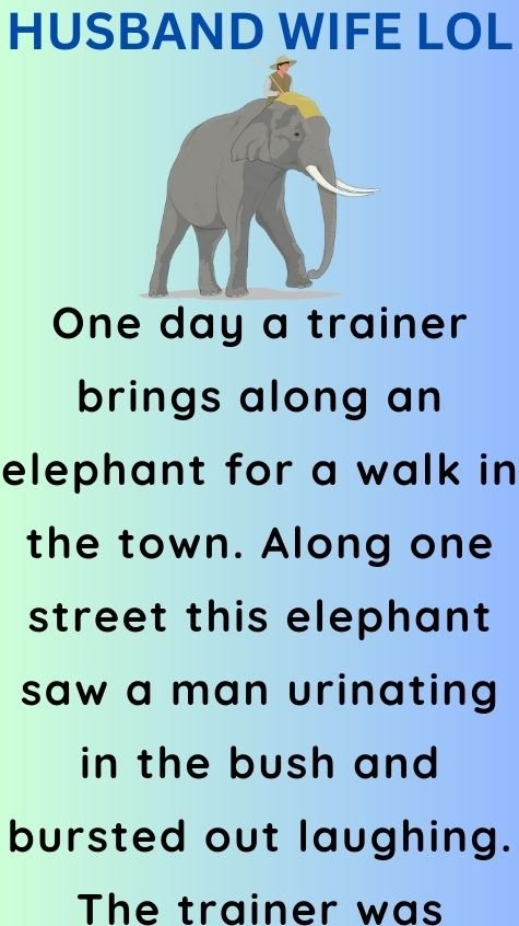 One day a trainer brings along an elephant