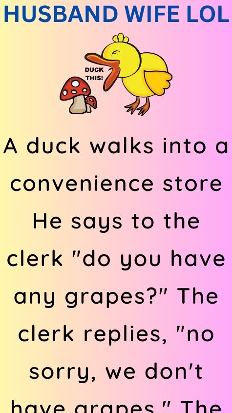 A duck walks into a convenience store