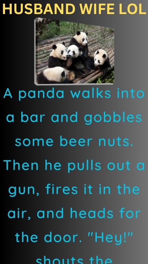 A panda walks into a bar