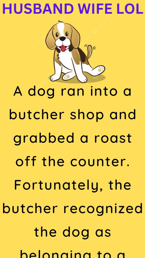 A dog ran into a butcher shop