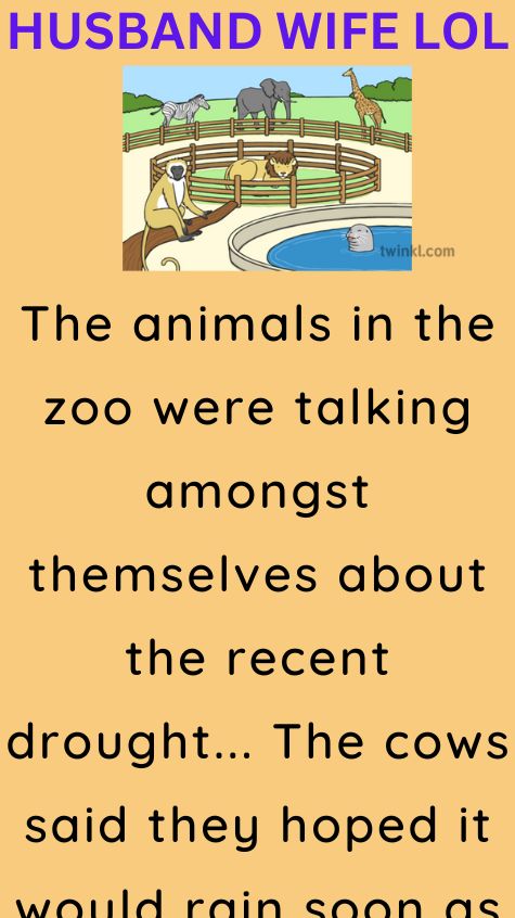 The animals in the zoo were talking amongst