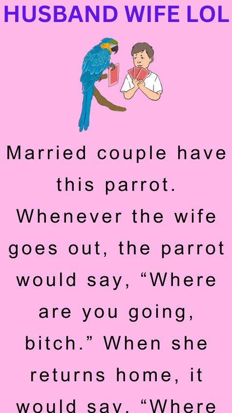 Married couple have this parrot