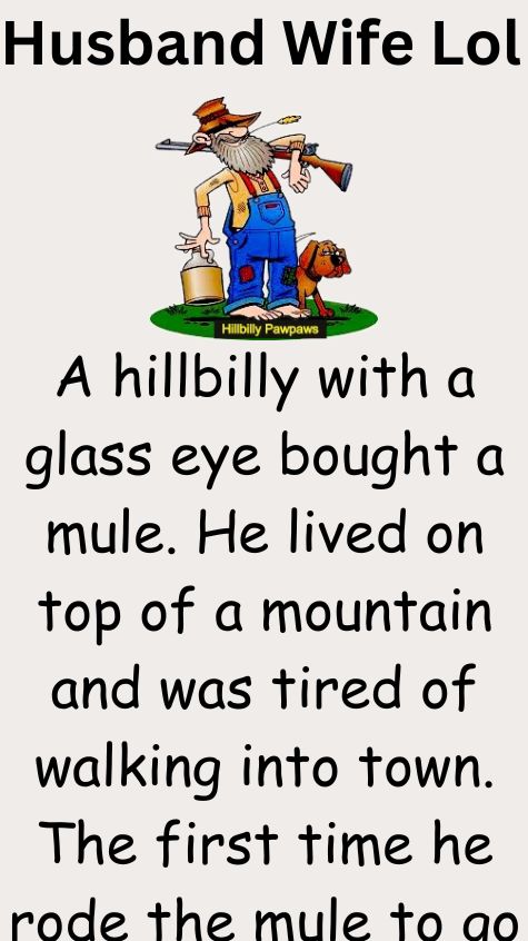 A hillbilly with a glass eye bought a mule