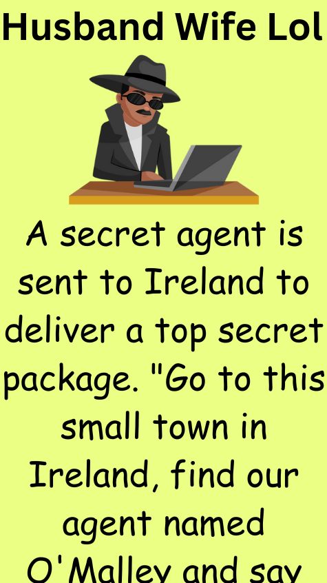 A secret agent is sent to Ireland to deliver