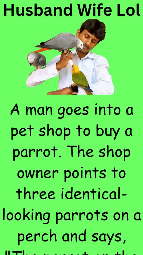 A man goes into a pet shop to buy a parrot