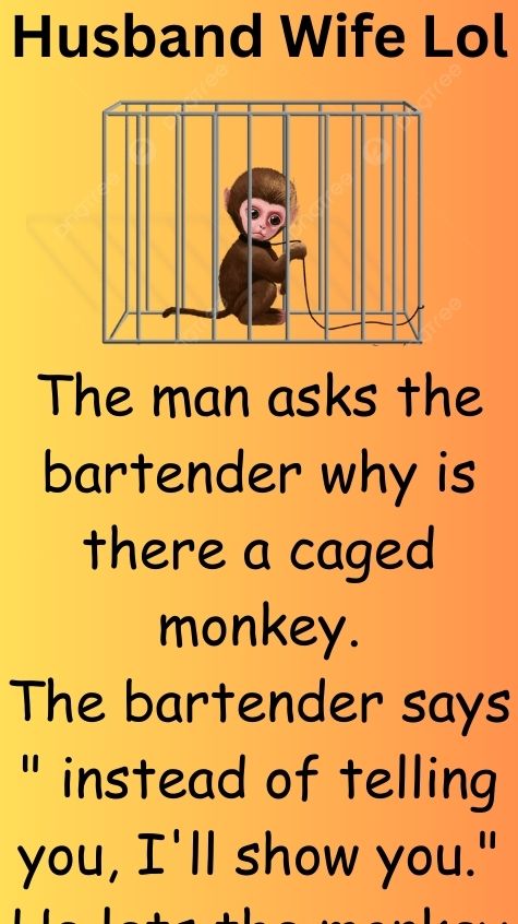 A caged monkey