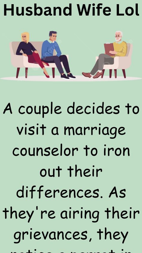 A couple decides to visit a marriage counselor