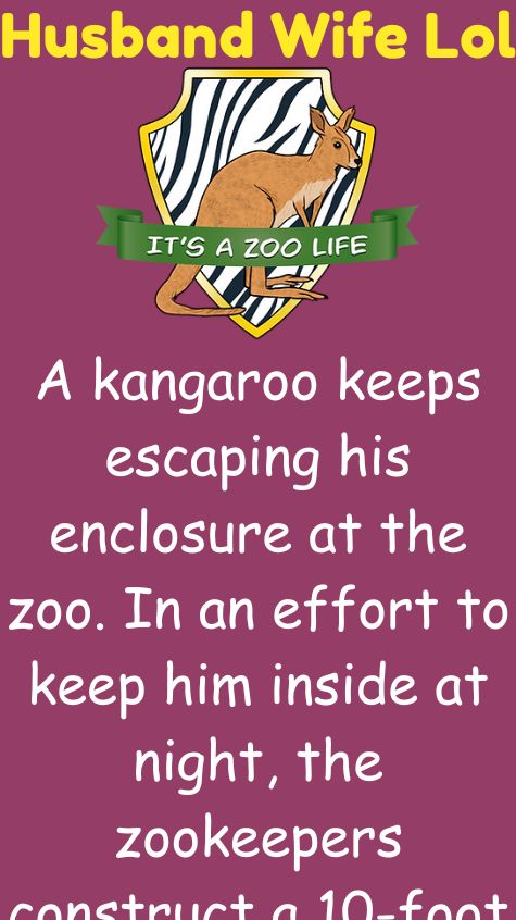 A kangaroo keeps escaping his enclosure at the zoo