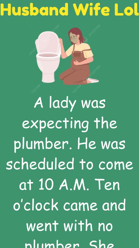 A lady was expecting the plumber