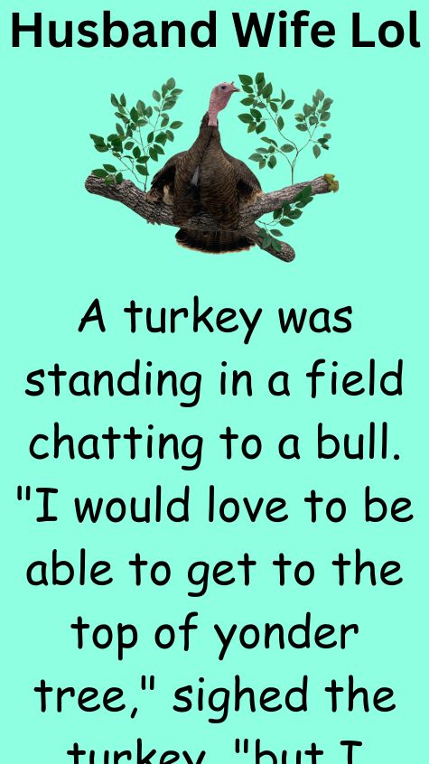 A turkey was standing in a field chatting
