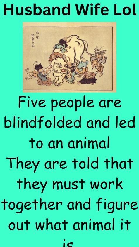Five people are blindfolded and led to an animal
